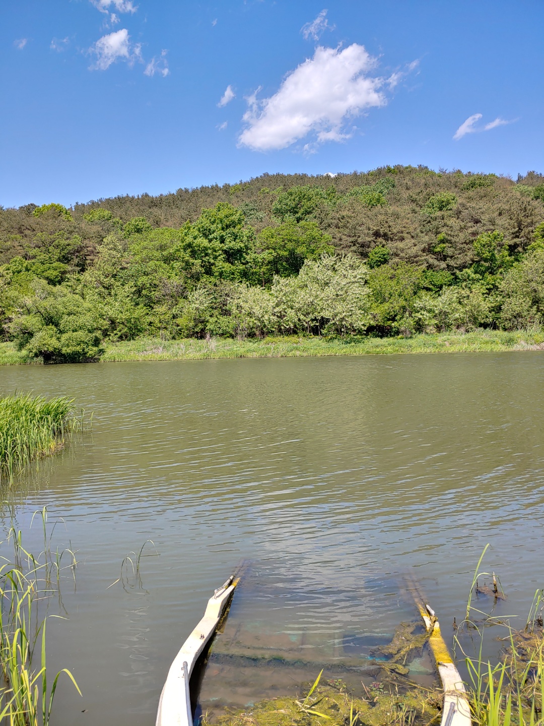 42909183c9a0aed0dabfdd25dd0b1c3a_1652252262_9349.jpg 42909183c9a0aed0dabfdd25dd0b1c3a_1652252262_9349.jpg